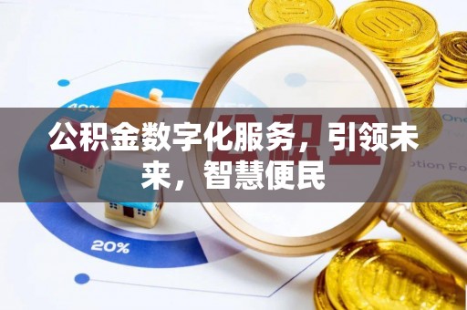 合浦公积金数字化服务，引领未来，智慧便民