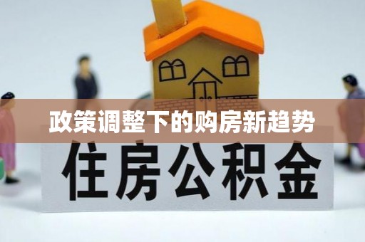 合浦政策调整下的购房新趋势