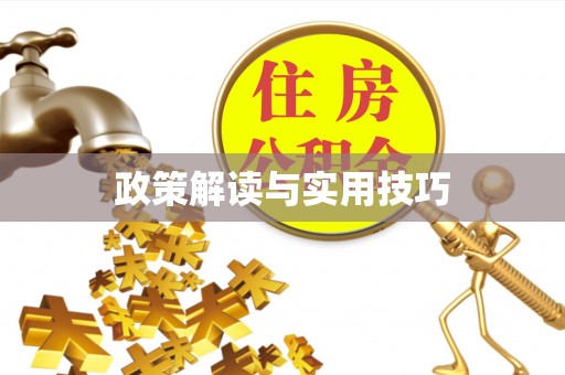 合浦政策解读与实用技巧