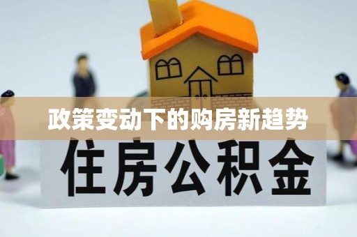合浦政策变动下的购房新趋势